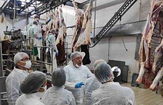 Denizli’de veteriner hekimlere yönelik eğitim...