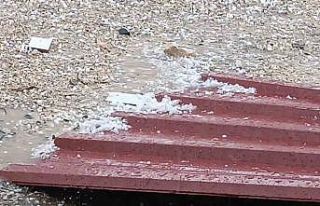 Dicle’de dolu yağışı etkili oldu