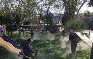 Didim Belediyesi yeşil alanlarda bakım çalışmalarını...