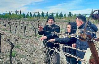 Don afeti Kırkağaçlı çiftçiyi de vurdu