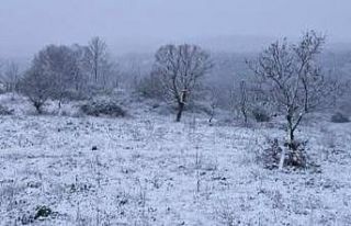 Edirne kar yağışıyla beyaza büründü