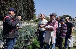 Edremit’te zeytin budama kursu uygulamalı eğitimle...