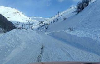 Eğribel Tüneli girişinde çığ nedeniyle ulaşım...