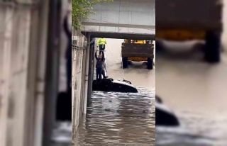 Elazığ’da alt geçidi su bastı: Araç içinde...
