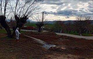 Elazığ’da larva ile mücadele sürüyor