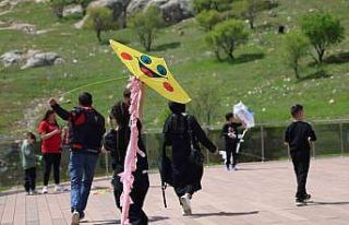 Elazığ’da uçurtma şenliğinde renkli görüntüler...