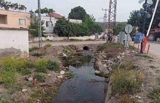 Elektrik akımına kapılan anne-kız hayatını kaybetti