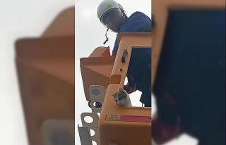 Elektrik direğinde mahsur kalan kedi kurtarıldı