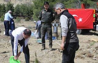 Emekli öğretmenler doğa için kolları sıvadı,...