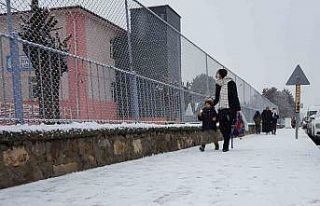 Erzincan ilkbaharda kışı yaşıyor