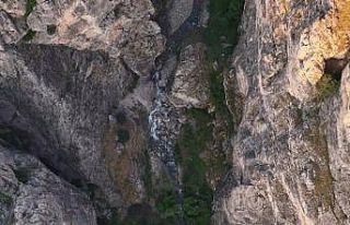 Erzincan’da kanyonlarla bütünleşen yaban keçileri