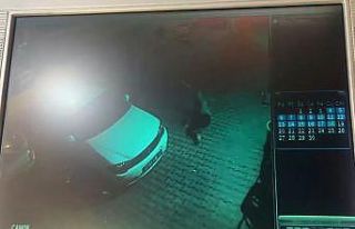 Esenyurt’ta genç kız 4’üncü kattan düştü:...