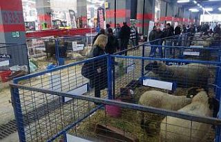 Ezine’de 2. Gıda, Hayvancılık ve Tarım Teknolojileri...