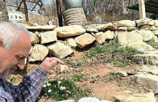 Frekanslarını ölçerek şifalı bitkileri araştırıyor,...