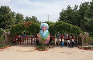 Gaziantep Doğal Yaşam Parkı’na "Afrika Savanı"...