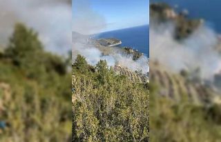 Gazipaşa’da muz bahçesindeki yangın makilik alana...