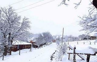 Giresun yaylalarında Nisan ayında karla mücadele...