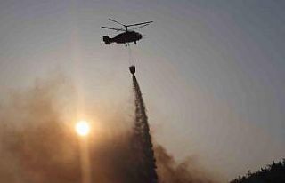 Güney Kore’de orman yangını: Bin 200 kişi için...