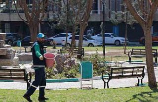 Haliliye Belediyesi mevsimsel çalışmalarla yeşile...