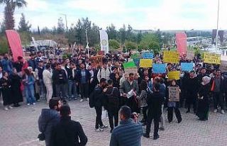 Harran Üniversitesi öğrencilerinden, başıboş...