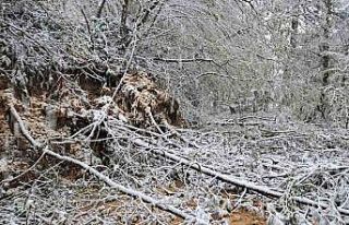 Heyelandan kapanan yol yeniden ulaşıma açıldı