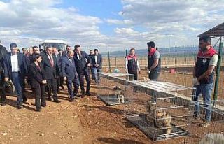 İçişleri Bakan Yardımcısı Aktaş’ın Şırnak...