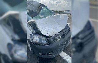 İneğe çarpan otomobilin sürücüsü hayatını...