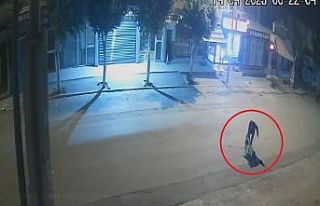 İşe gitmek için servis bekleyen genç kadına ve...