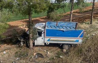 Kamyonet ağaca çarptı, sürücü yaralandı