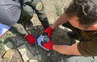 Karaçam ormanlarında çam kabuk böceği ile mücadele