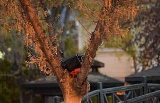 Karaman’da fünye ile patlatılan çantadan para...