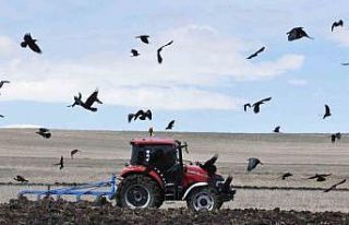 Kars’ta tohumlar toprakla buluşuyor