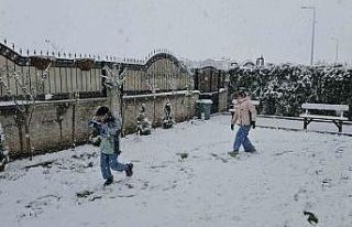 Kayseri’de lapa lapa kar yağdı