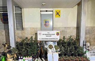 Kenevir yetiştiren şahıslar esrar ve uyuşturucu...
