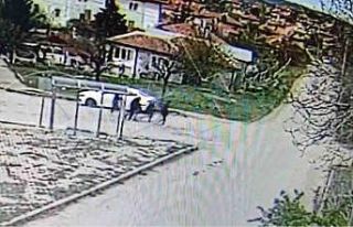 Kırıkkale’de otobüs durağına tabancayla zarar...