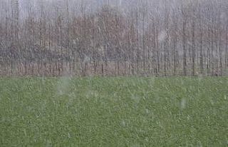 Kırklareli’nin yüksek kesimlerinde kar yağışı...