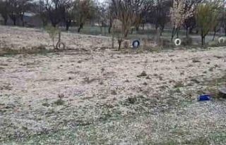 Konya’da çiftçilerin yağış sevinci