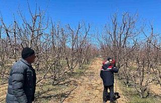 Konya’da yaşanan zirai don için hasar tespitine...