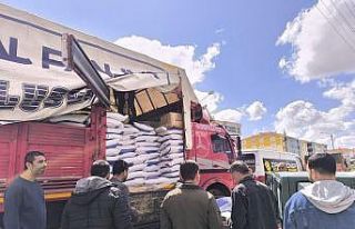 Kulu’da yüzde 50 hibeli nohut tohumu dağıtıldı