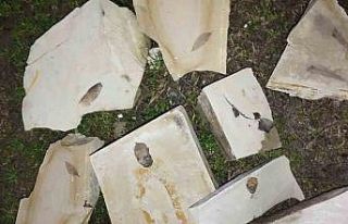 Kuşadası’nda 15 milyon yıllık yaprak fosili...