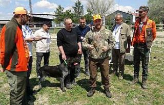 Kütahya’da Fermalı Av Köpekleri Mera Yarışması...