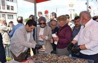 Manisa’daki festivalde 2 ton hamsi dağıtıldı