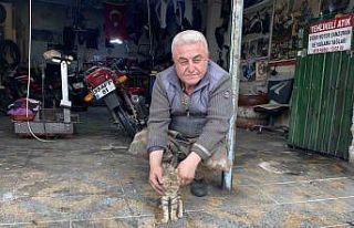 Manisalı esnafın duyarlılığı bir kediyi hayata...