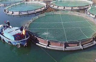 Mart ayında su ürünlerinden 135 milyon dolarlık...