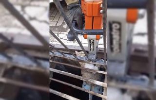 Mazgala sıkışan kediyi itfaiye kurtardı
