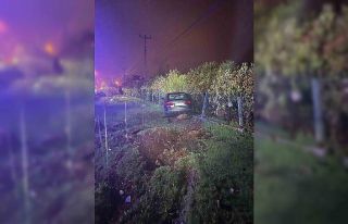 Menteşe’de trafik kazası: Araç sürücüsü her...