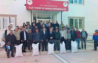 Mersin Mut’ta üreticiye tohum desteği