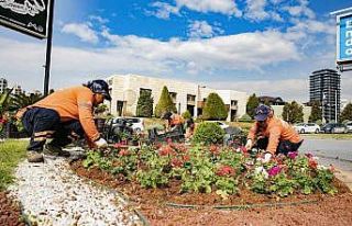 Mersin rengarenk çiçeklerle baharı karşılıyor