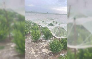 Mersin’de dolu ürünlere zarar verdi
