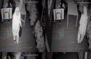 Mersin’de ilginç hırsızlık: Kadın beğendi...